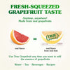 Wholesale price for (100 Pack) True Grapefruit Sugar & Caffeine Free Powdered Drink Mix ZJ Sons True Citrus 