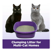 ARM & HAMMER Clump & Seal SLIDE Cat Litter, Easy Clean-up Multi-Cat Clumping Litter, 14 lbs