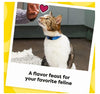 Temptations MixUps Crunchy & Soft Adult Cat Treats Catnip Fever, 6.3 oz