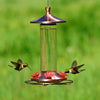 Woodstream 710B Copper Clear Glass Bottle Hummingbird Feeder with Bee Guard