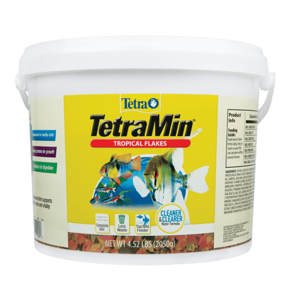 Wholesale price for Tetra TetraMin Balanced Diet Tropical Fish Food Flakes, 4.52 lb ZJ Sons Tetra 