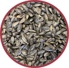 Pennington Select Black Oil Sunflower Seed Wild Bird Feed, 40 lb. Bag