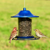 BLUE PANORAMA FEEDER (Pack of 1)