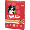Wholesale price for IAMS Minichunks Lamb & Rice Dry Dog Food for Adult Dog, 15 lb. Bag ZJ Sons IAMS 