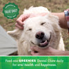 Wholesale price for GREENIES Original Regular Size Natural Dental Dog Treats, 36 oz. Pack ZJ Sons Greenies 
