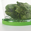Progressive Prepworks Lettuce Keeper Food Storage , 4.7 Qt, Green Lid