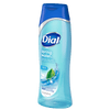 Dial Hydrating Body Wash, Spring Water, 21 fl oz (Pack of 4)