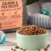 Wholesale price for Pure Balance Wild & Free Salmon & Pea Recipe Dry Dog Food, Grain-Free, 24 lbs ZJ Sons Pure Balance 