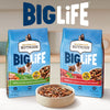 Wholesale price for Rachael Ray Nutrish Big Life Dry Dog Food for Big Dogs, Hearty Beef, Veggies & Brown Rice Recipe, 14 lb Bag ZJ Sons Nutrish 