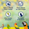Vitakraft Crunch Sticks Parakeet Treat - Honey, Egg, and Apple- Pet Bird Treat Toy - Variety Pack