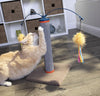 SmartyKat Scratch 'N Spin Carpet Cat Scratching Post with Interactive Spinning Wand Cat Toys