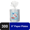 Great Value Everyday Disposable Paper Plates, 9in, 300ct