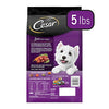 Wholesale price for CESAR Filet Mignon with Spring Vegetables Garnish Dry Dog Food for Small Breed Dog, 5 lb. Bag ZJ Sons Cesar 
