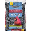 Pennington Select Black Oil Sunflower Seed Wild Bird Feed, 10 lb. Bag, New
