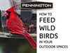 Pennington, Ready to Use, Electro Nectar Clear Hummingbird Food, 80 oz. Bottle