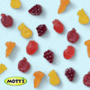 Wholesale price for Mott's Fruit Flavored Snacks, Assorted Fruit, Pouches, 0.8 oz, 40 ct, (Pack of 2) ZJ Sons Mott's 