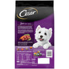 Wholesale price for CESAR Filet Mignon with Spring Vegetables Garnish Dry Dog Food for Small Breed Dog, 5 lb. Bag ZJ Sons Cesar 