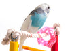 Penn-Plax Bird Life Wood Playpen – Perfect for Parakeets, Parrotlets, Lovebirds, Cockatiels, and Green Cheek Conures - Keep Your Birds Stimulated and Entertained - Medium