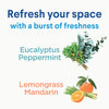 Clorox Disinfectant Mist, 1 Spray and 1 Refill, Lemongrass Mandarin, 16 fl oz, 2 Pack