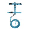 Vibrant Life Teal Harness & Leash Combo, for Cats 5-10lbs, Neck Size 6-8 Inches, Chest Size 8-12 Inches