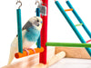 Penn-Plax Bird Life Wood Playpen – Perfect for Parakeets, Parrotlets, Lovebirds, Cockatiels, and Green Cheek Conures - Keep Your Birds Stimulated and Entertained - Medium