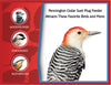 Pennington Red Cedar Wild Bird Suet Feeder, 4 Plug Capacity